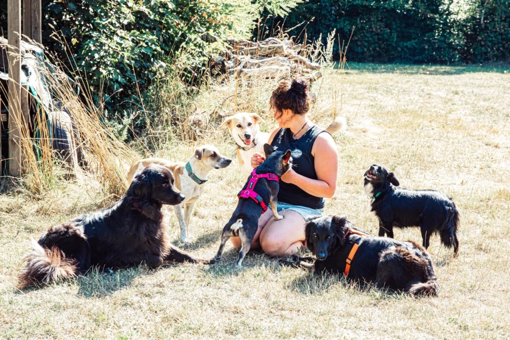 Frau sitzt auf Wiese mit vielen Hunden 