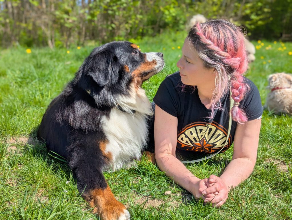 Hundetagesbetreuung-Maren-Berner-Sennenhund
